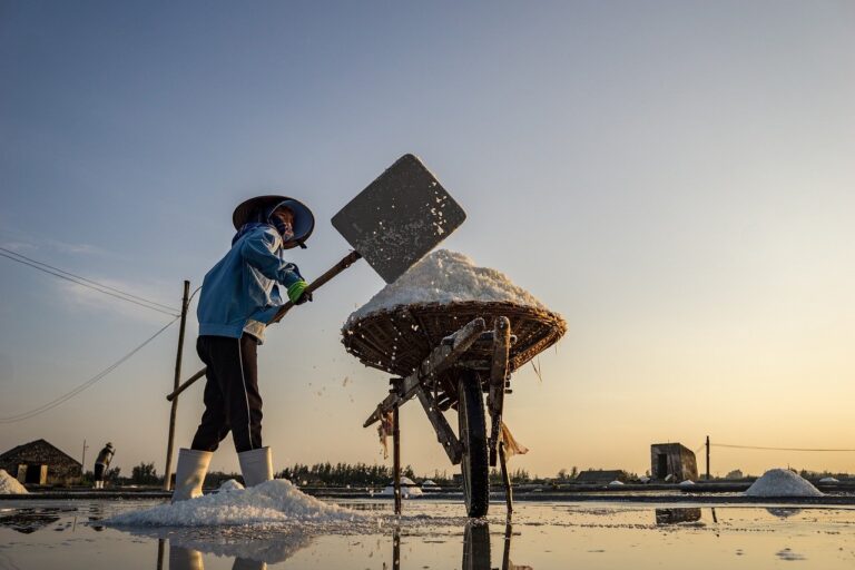 salt, salty, people, man, nature, summer, hard, vietnam, labor, work, job, farmer, woman, children